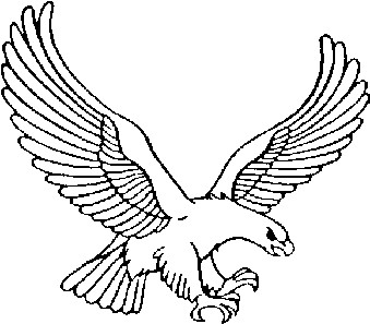 RV Hawk only Logo